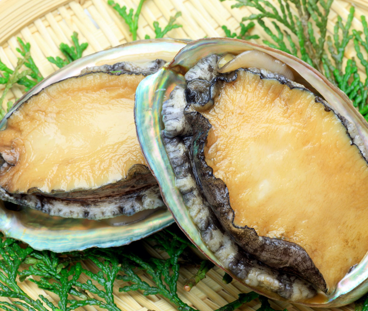 Abalone what is What Does